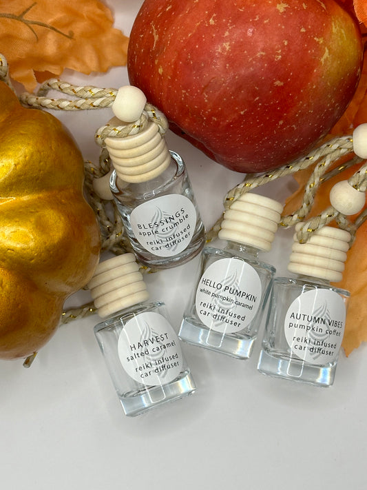 Fall scented Car Diffuser